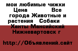 мои любимые чижки › Цена ­ 15 000 - Все города Животные и растения » Собаки   . Ханты-Мансийский,Нижневартовск г.